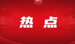 武汉极目新闻爆料事件最新,揭秘XX事件背后真相